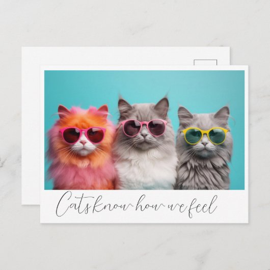 Katten Briefkaart (Voorkant / Achterkant)