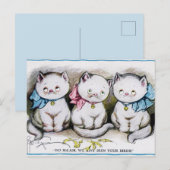 katten briefkaart (Voorkant / Achterkant)