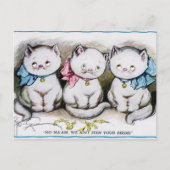 katten briefkaart (Voorkant)