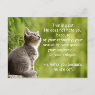 Katten Briefkaart