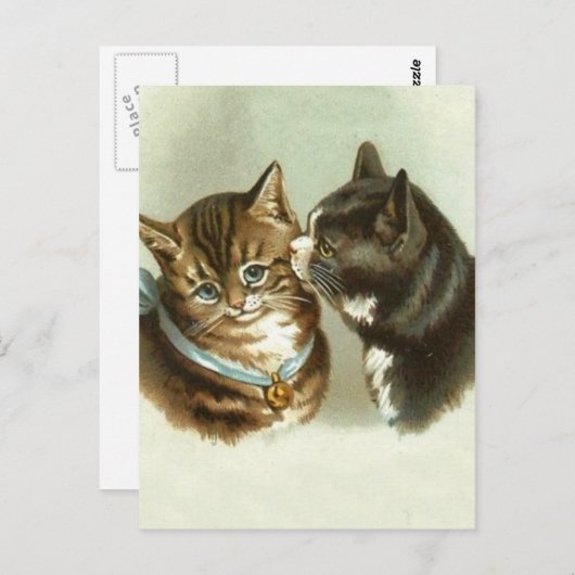katten briefkaart (Voorkant / Achterkant)