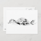  katten briefkaart (Voorkant / Achterkant)