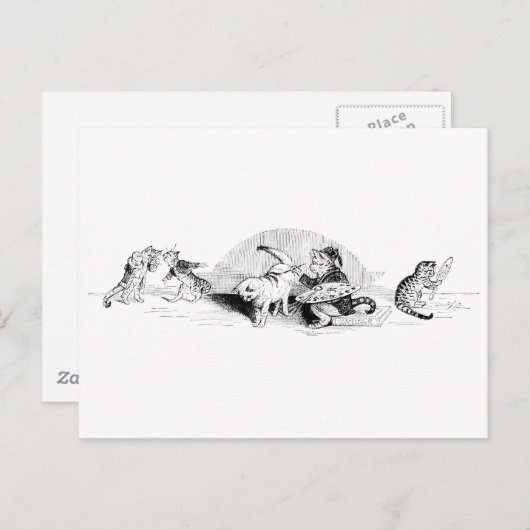  katten briefkaart (Voorkant / Achterkant)