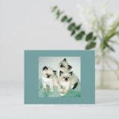 Katten Briefkaart (Staand voorkant)