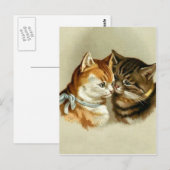  katten briefkaart (Voorkant / Achterkant)