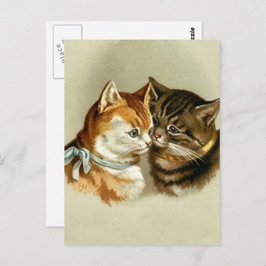  katten briefkaart (Voorkant / Achterkant)