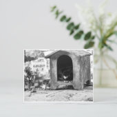 katten briefkaart (Staand voorkant)