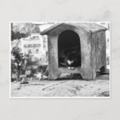  katten briefkaart (Voorkant)