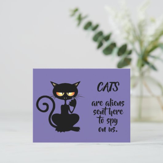 katten briefkaart (Staand voorkant)