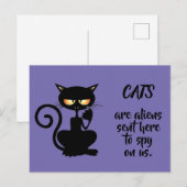 katten briefkaart (Voorkant / Achterkant)