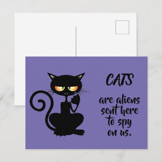 katten briefkaart (Voorkant / Achterkant)