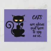 katten briefkaart (Voorkant)