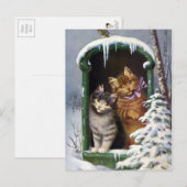  katten briefkaart (Voorkant / Achterkant)