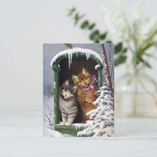 katten briefkaart (Staand voorkant)