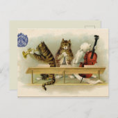  katten briefkaart (Voorkant / Achterkant)