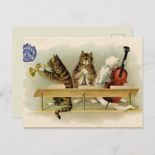 katten briefkaart (Voorkant / Achterkant)