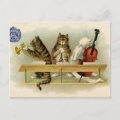  katten briefkaart (Voorkant)
