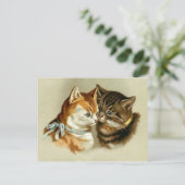  katten briefkaart (Staand voorkant)
