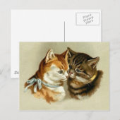  katten briefkaart (Voorkant / Achterkant)