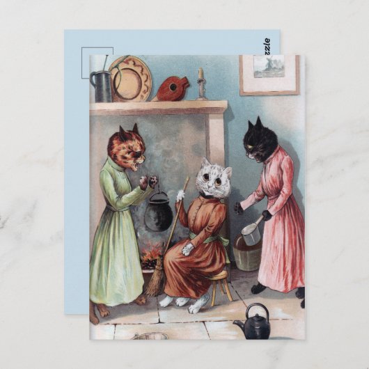  katten briefkaart (Voorkant / Achterkant)