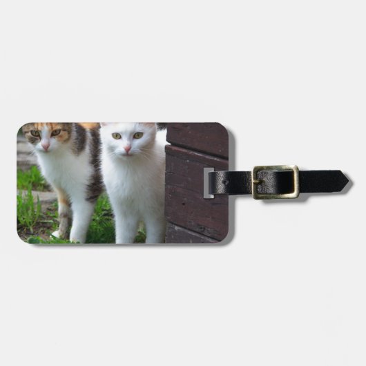 Katten buiten aan het spelen bagagelabel (Voorkant horizontaal)