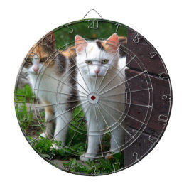 Katten buiten aan het spelen dartbord
