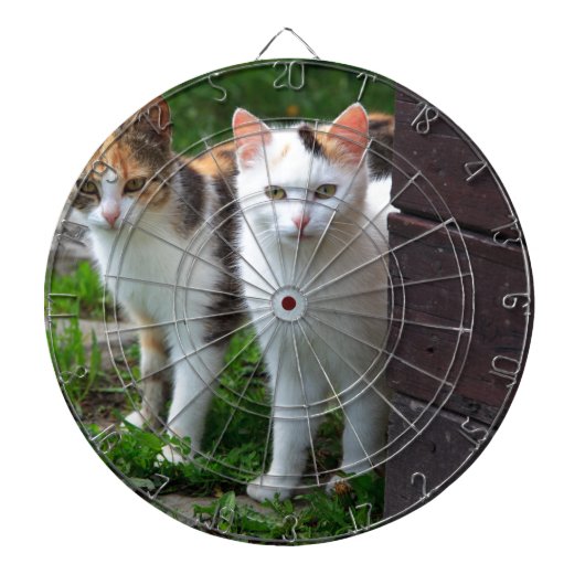 Katten buiten aan het spelen dartbord (Voorkant)