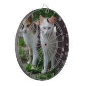 Katten buiten aan het spelen dartbord (Voorkant Links)