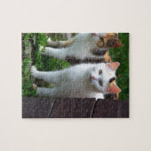Katten buiten aan het spelen legpuzzel (Horizontaal)