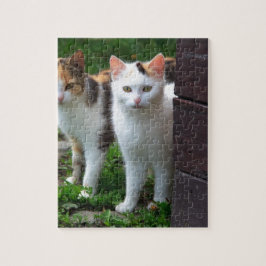 Katten buiten aan het spelen legpuzzel