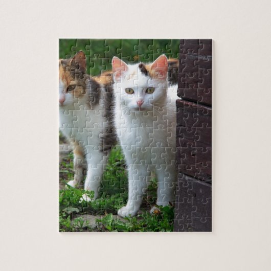 Katten buiten aan het spelen legpuzzel (Verticaal)