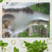 Katten buiten aan het spelen theedoek (Gevouwen)
