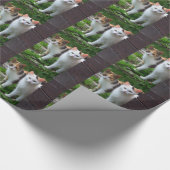 Katten buiten spelen cadeaupapier (Hoek)