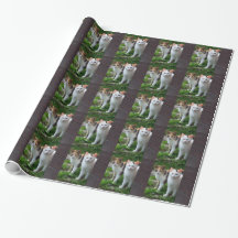 Katten buiten spelen