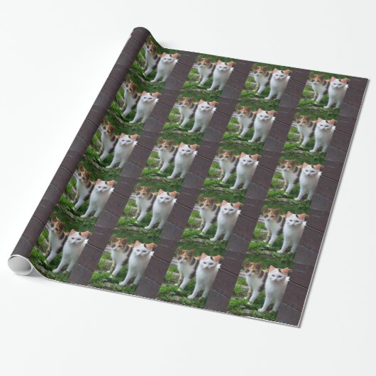 Katten buiten spelen cadeaupapier (Uitgerold)