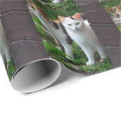 Katten buiten spelen cadeaupapier (Rol Hoek)