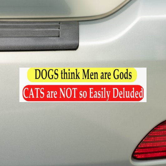 katten bumpersticker (Op auto)