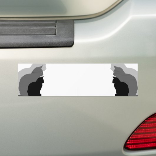 Katten Bumpersticker (Op auto)