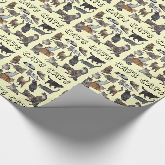 Katten Cadeaupapier (Hoek)