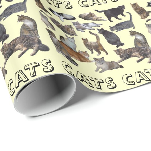 Katten Cadeaupapier (Rol Hoek)