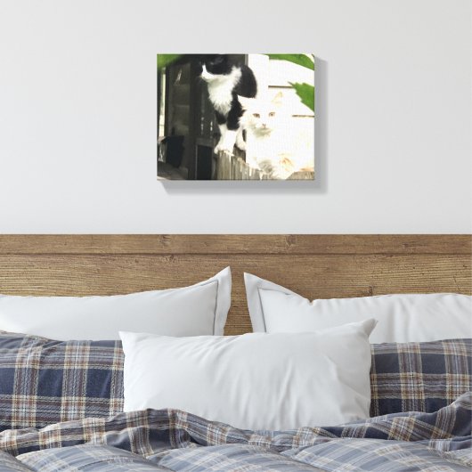 Katten Canvas Afdruk (Insitu (Slaapkamer))