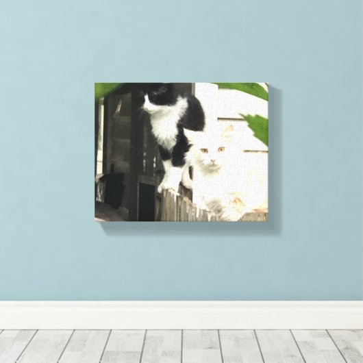 Katten Canvas Afdruk (Insitu (Houten vloer))
