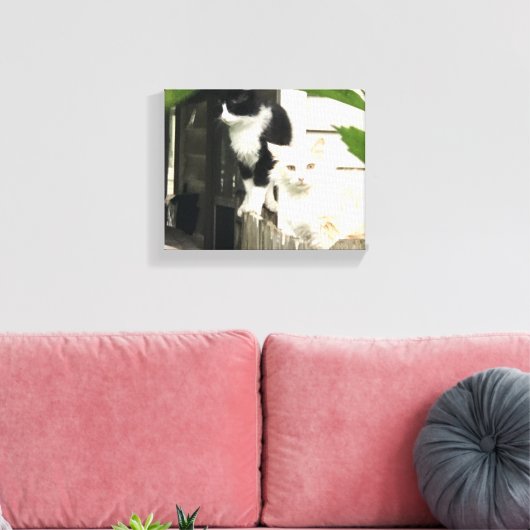 Katten Canvas Afdruk (Insitu (Woonkamer))