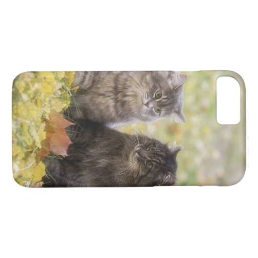 Katten Case-Mate iPhone Case (Achterkant (Horizontaal))