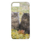 Katten Case-Mate iPhone Case (Achterkant)