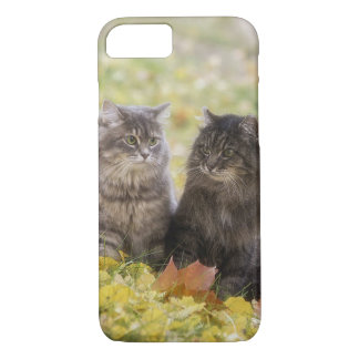 Katten iPhone 8/7 Hoesje
