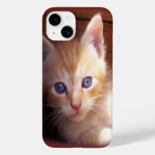 Katten Case-Mate iPhone Case (Achterkant)