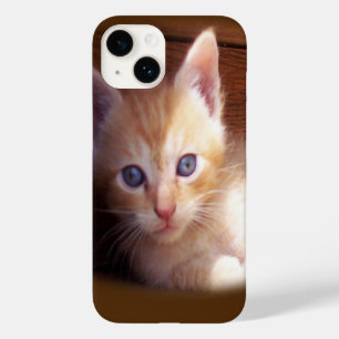 Katten Case-Mate iPhone 14 Hoesje