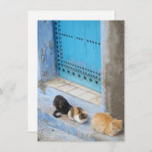 Katten, Chefchaouen, Marokkaanse kaart (Voorkant / Achterkant)