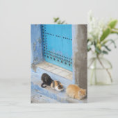 Katten, Chefchaouen, Marokkaanse kaart (Staand voorkant)